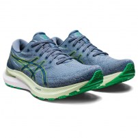 Кросівки для бігу чоловічі Asics GEL-KAYANO 29 Steel blue/Lime zest